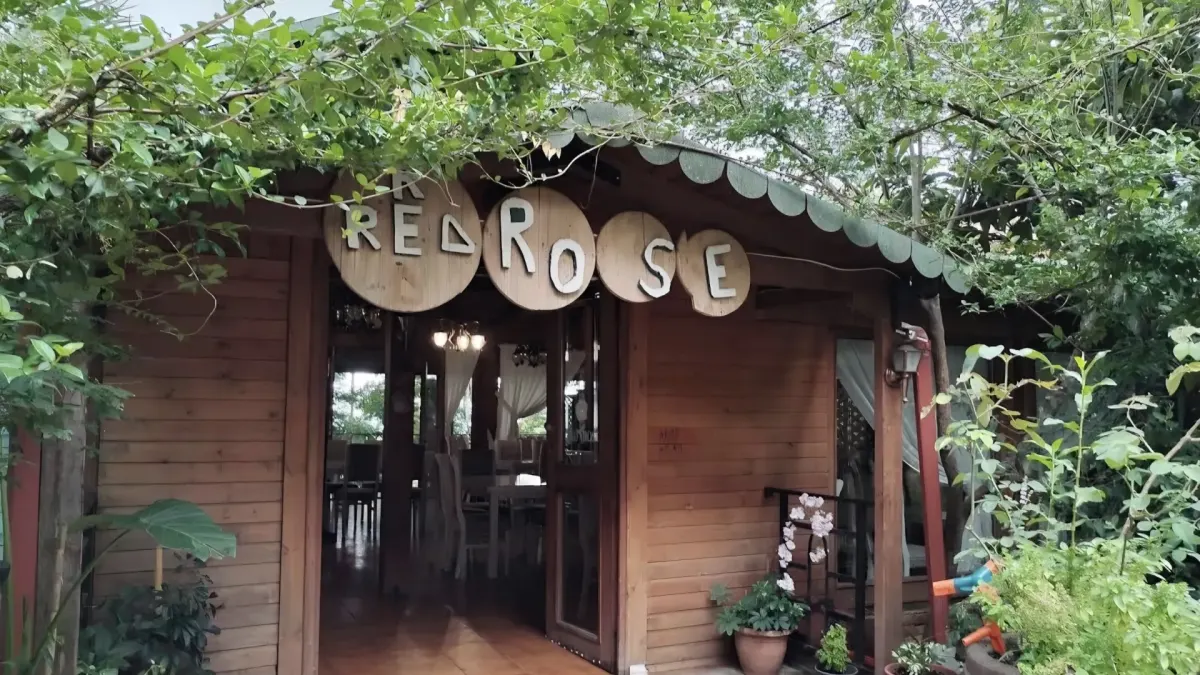 Red rose hallall