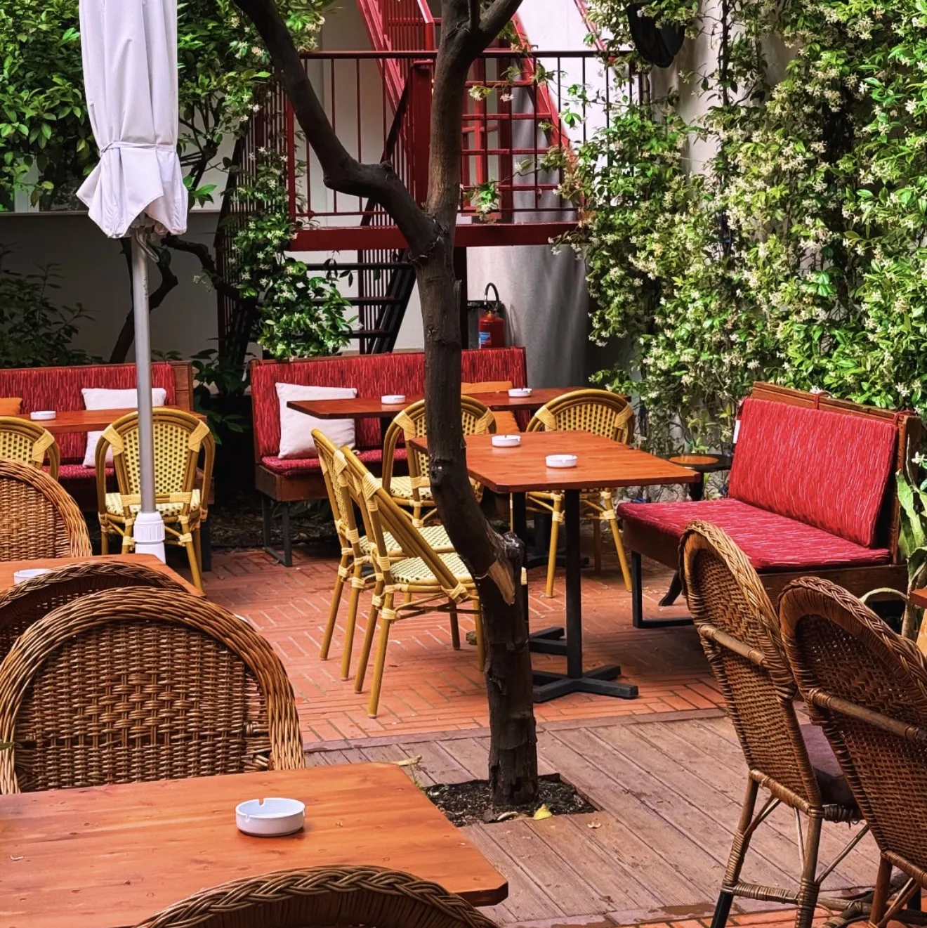 Small Boutique Garden